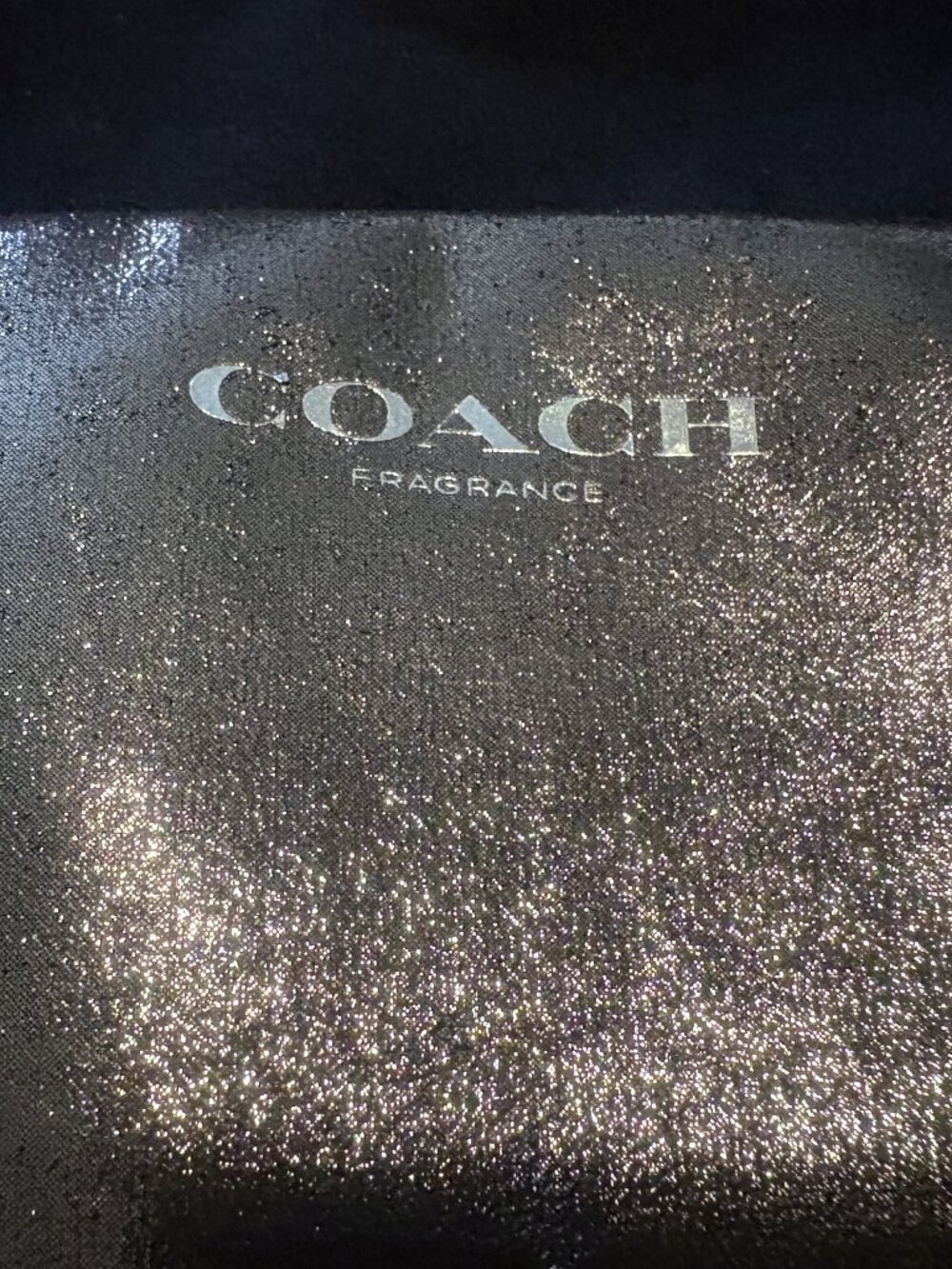 COACH Metallic Fragrance cosmetic bag NWOT